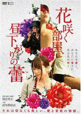 卫视剧场联播频道画面
